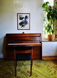 Potted plant on table against wall at home