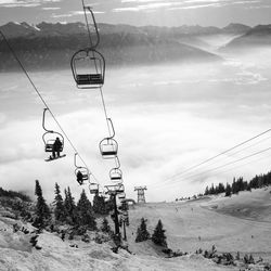 Overhead cable cars over snow covered landscape