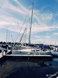 Sailboats moored at harbor against sky