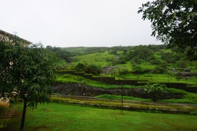 Scenic view of landscape against clear sky