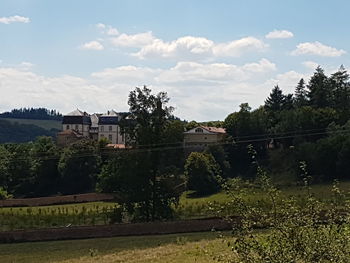 Trees on landscape against sky