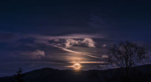 Silhouette trees against sky at sunset