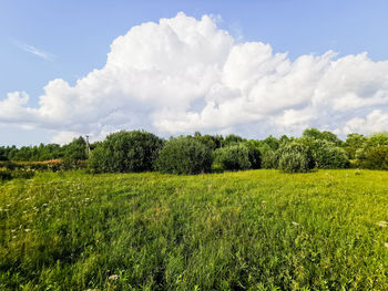 Scenic view of land against sky