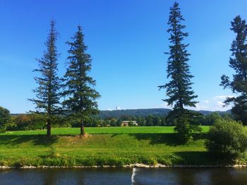 Scenic view of lake against clear blue sky