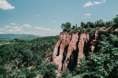 Trees in forest against sky