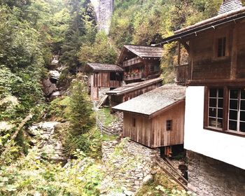 Houses by trees and plants in forest