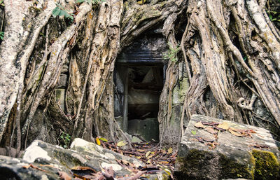 View of old ruin building