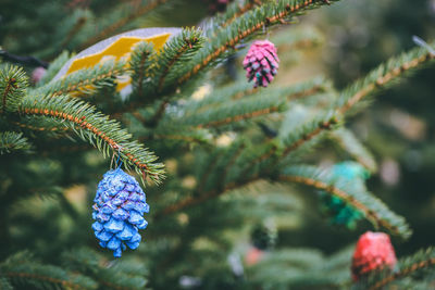 Blue painted pine cone on christmas tree. diy decoration ideas for children. environment, recycle