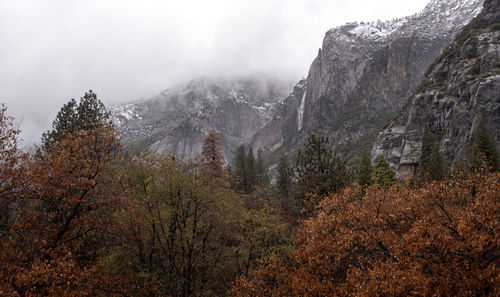 Scenic view of forest against sky during autumn