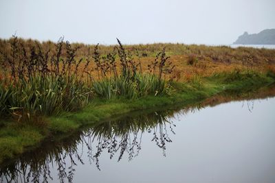 Scenic view of lake against clear sky