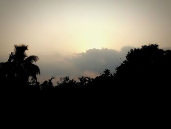 Low angle view of silhouette trees against sky