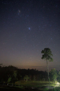 Scenic view of field against sky at night