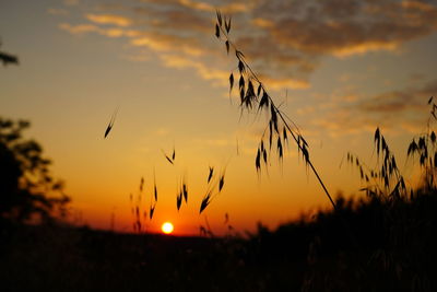 Silhouette landscape against sunset sky