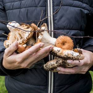 Midsection of woman holding mushrooms