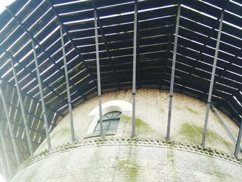 Steps in greenhouse