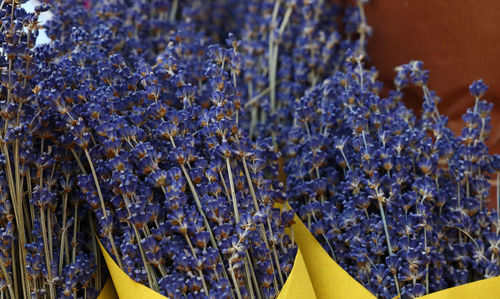 Close-up of lavenders bouquet