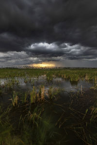 Scenic view of landscape against cloudy sky