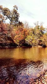 Reflection of trees in lake