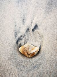 High angle view of bread on sand