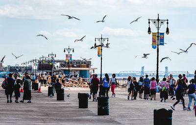 Group of people and seagulls