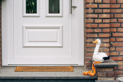 Closed door of building