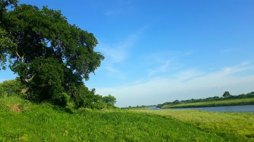 Scenic view of land against sky