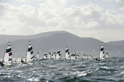 Swans swimming in sea against sky