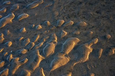 High angle view of footprints on sand