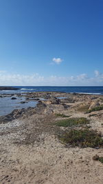 Scenic view of beach against blue sky