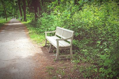 Empty bench in park