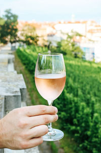 Close-up of hand holding wine glass