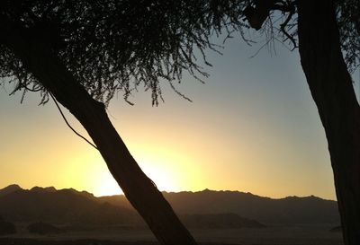 Bare trees on landscape against sky at sunset