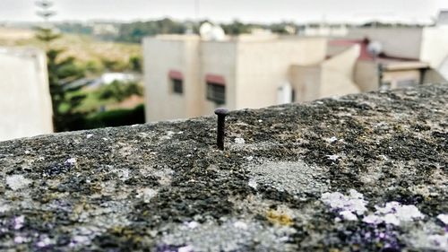 Surface level of built structure