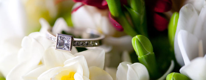 Close-up of wedding rings on white flower