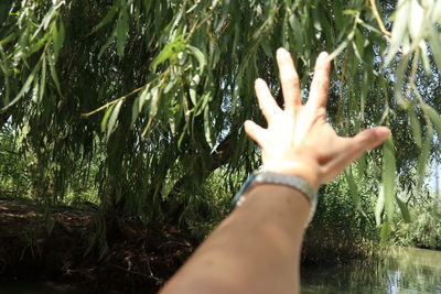 hand