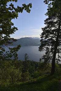 Scenic view of trees and mountains against sky