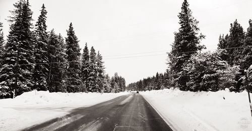 Snow covered road amidst trees against sky