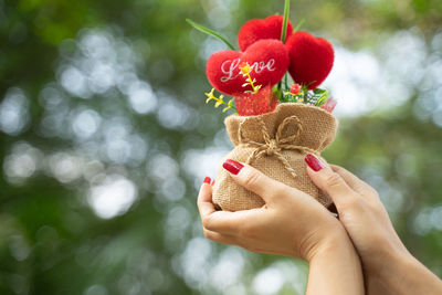 Close-up of hand holding strawberry against blurred background