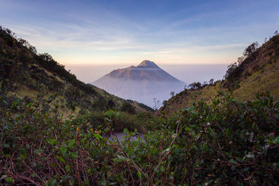 This is a view that is seen from mount merbabu, clearly seen the beauty of mount merapi, indonesia