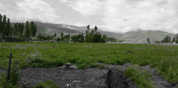 Scenic view of field against sky