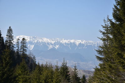 Scenic view of snowcapped mountains against clear sky