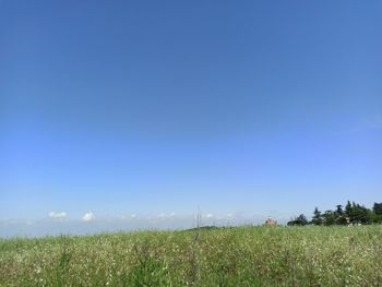 Scenic view of field against clear blue sky