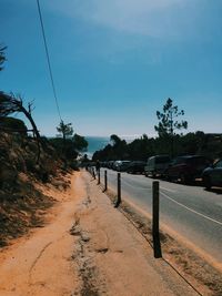 Road amidst plants against sky