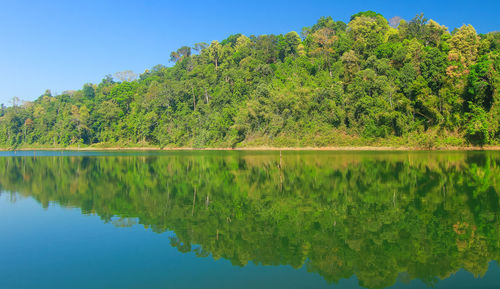 Reflection of trees on water against clear sky