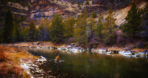 Scenic view of lake by trees