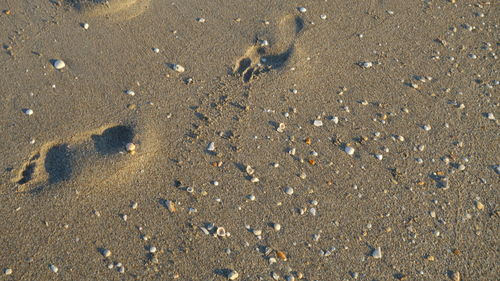 High angle view of footprints on sand