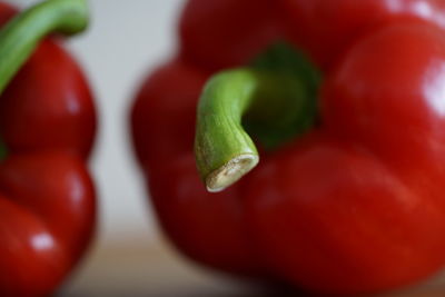 Close-up of red chili peppers