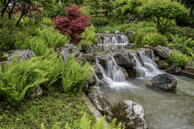 Scenic view of waterfall in forest