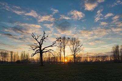 Silhouette bare trees on field against sky during sunset