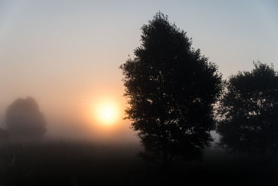 Silhouette trees on field against sky at sunset
